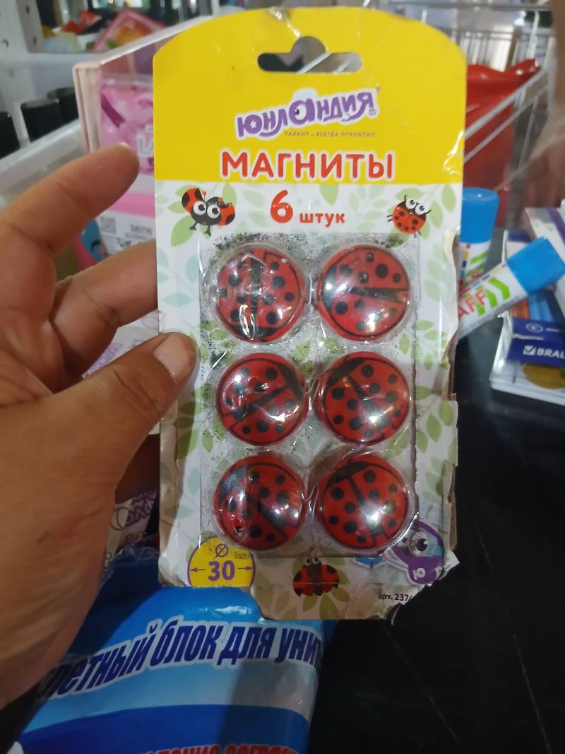 Магниты ЮНЛАНДИЯ, 6 штук