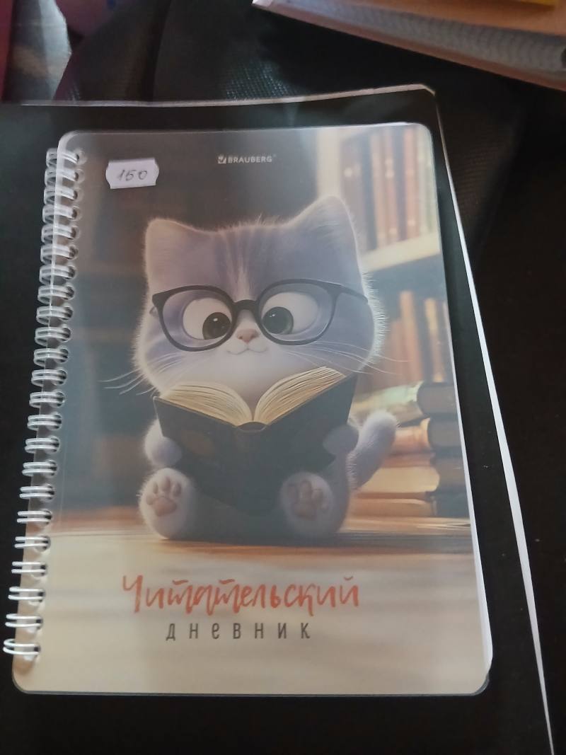Дневник BRAUBERG «Чудики»