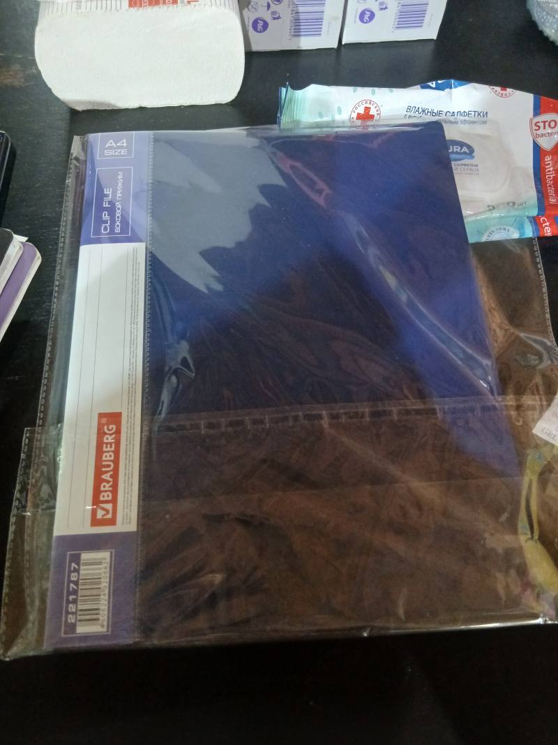 Папка BRAUBERG A4 CLIP FILE с боковым прижимом