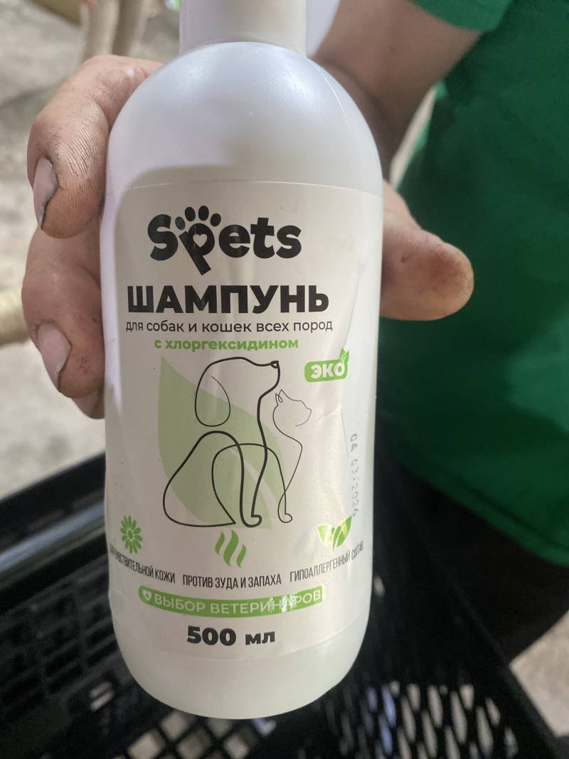 Spets Шампунь для собак и кошек всех пород с хлоргексидином