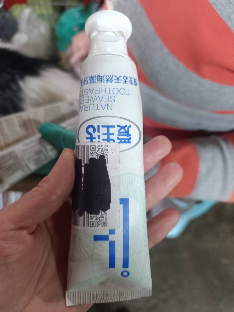 Natural Seaweed Toothpaste