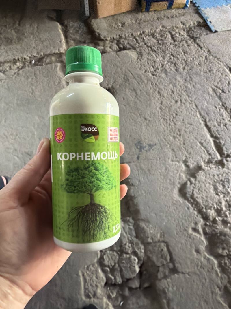 Корнемощь