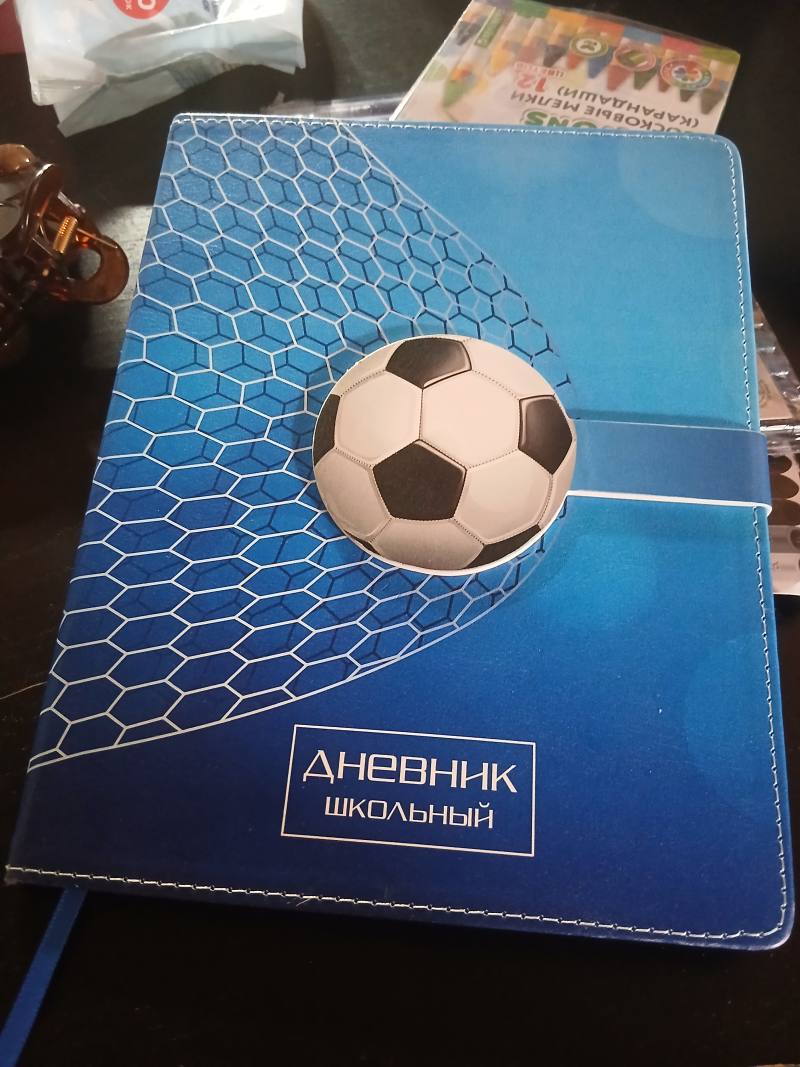 Дневник школьный