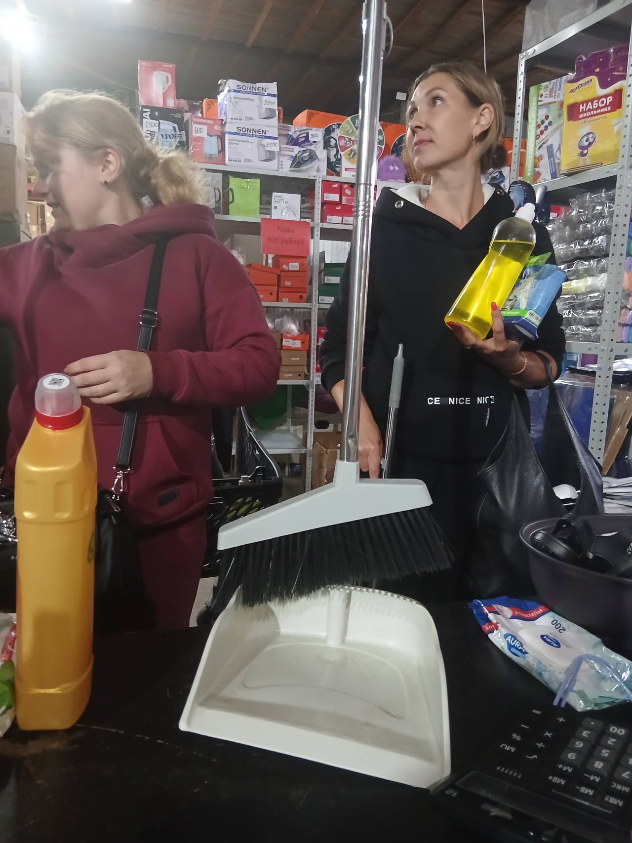 Совок и щётка