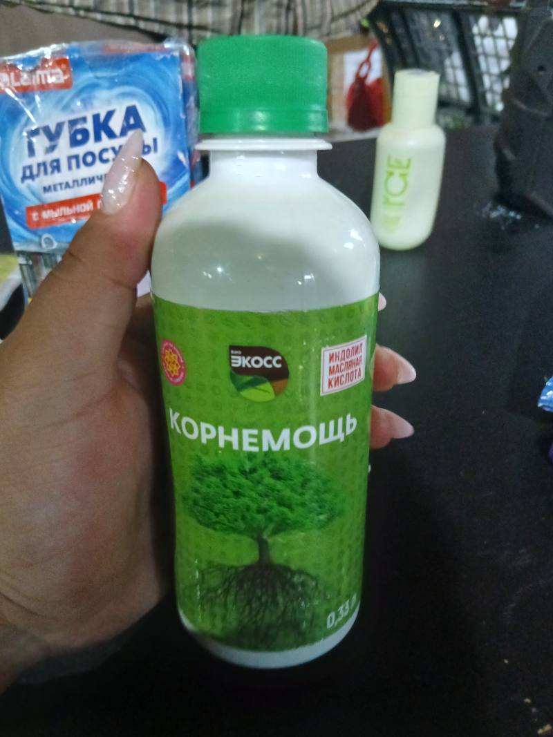 КОРНЕМОЛЬ