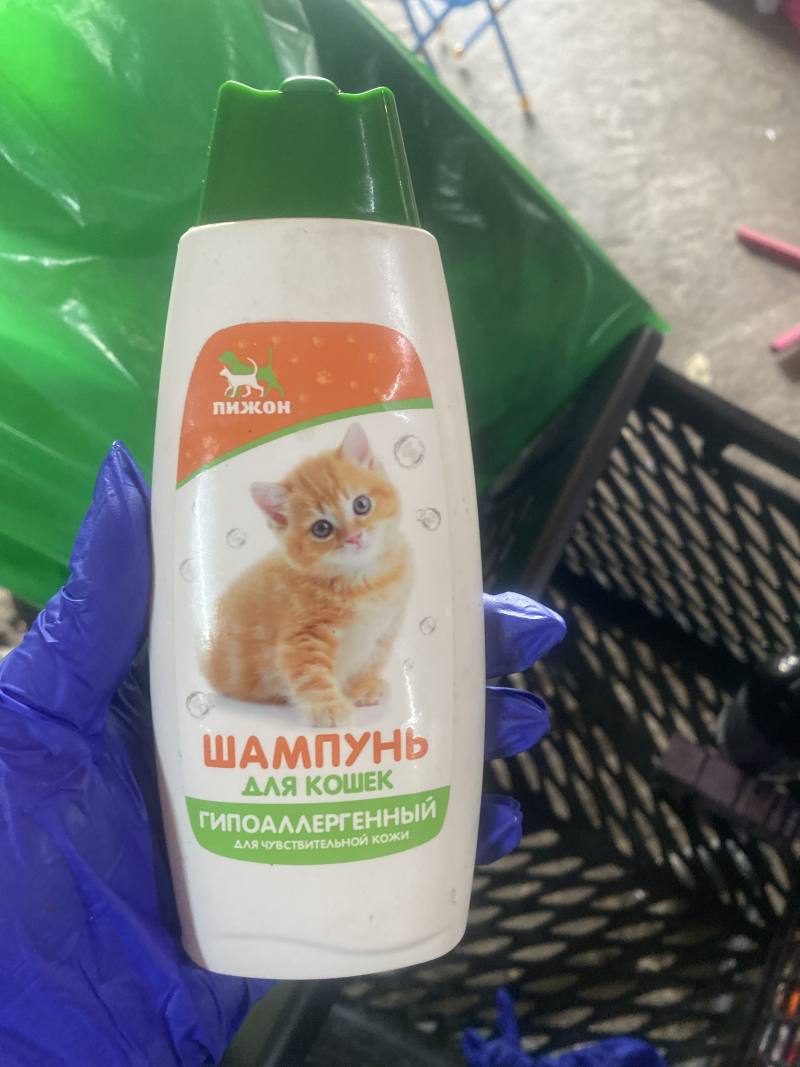 Шампунь для кошек гипоаллергенный для чувствительной кожи
