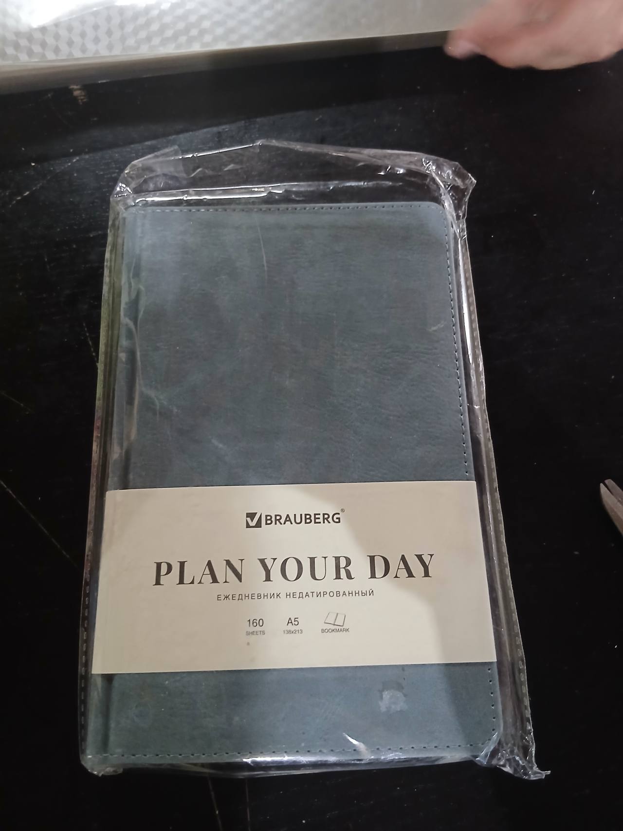 Ежедневник недатированный BRAUBERG PLAN YOUR DAY A5