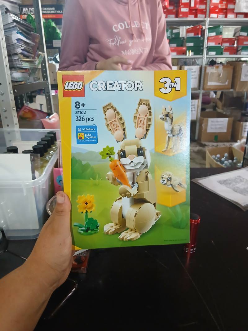 LEGO Creator 3-in-1 набор конструктора 31162, 326 деталей