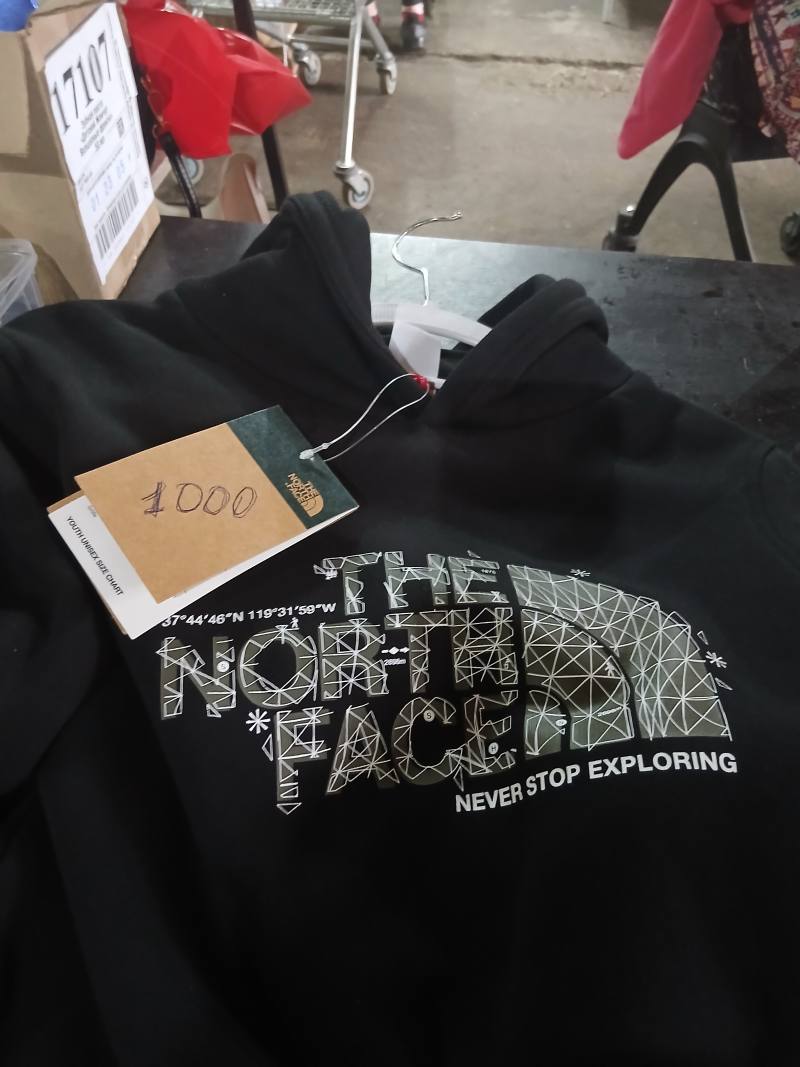 Толстовка The North Face с принтом Never Stop Exploring