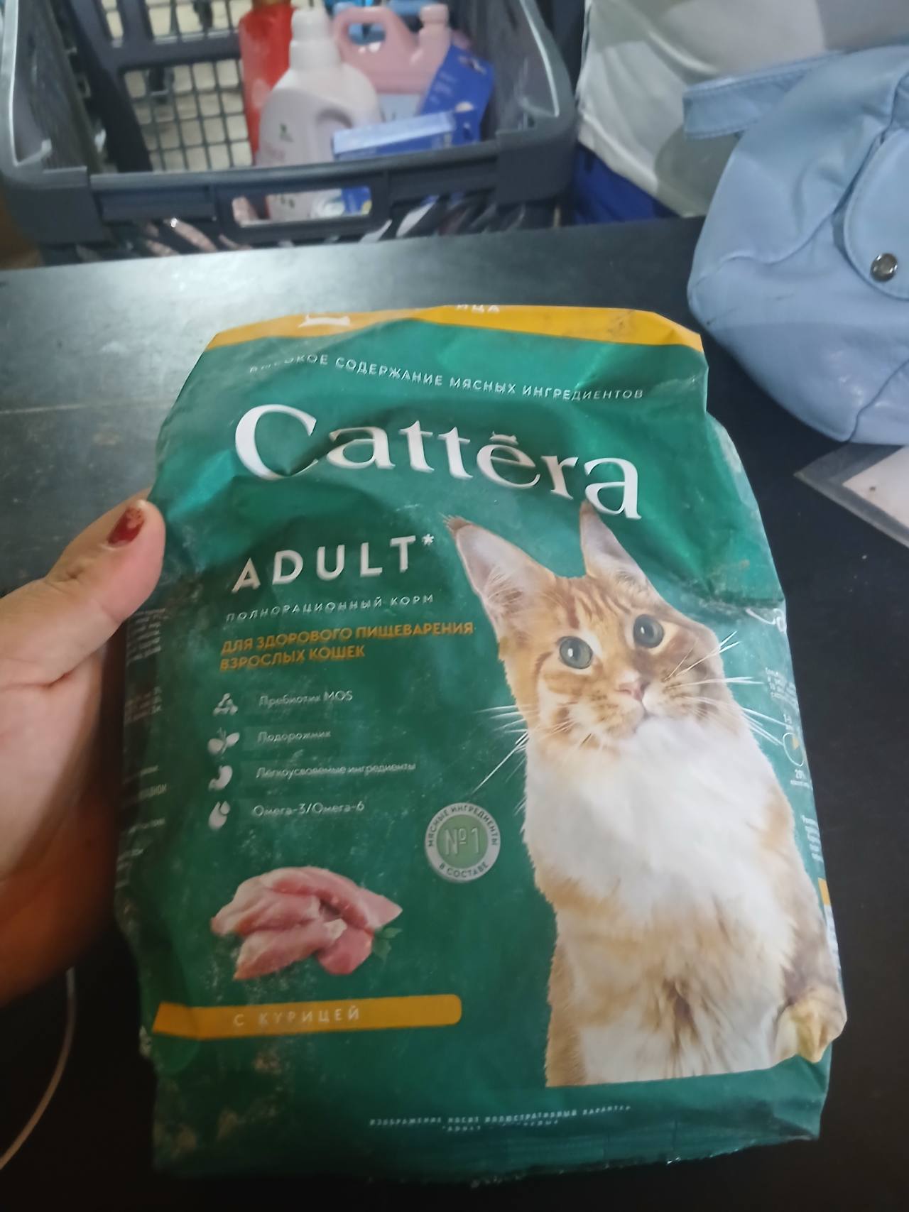 Catterra Adult Полнорационный корм для здорового пищеварения взрослых кошек с курицей