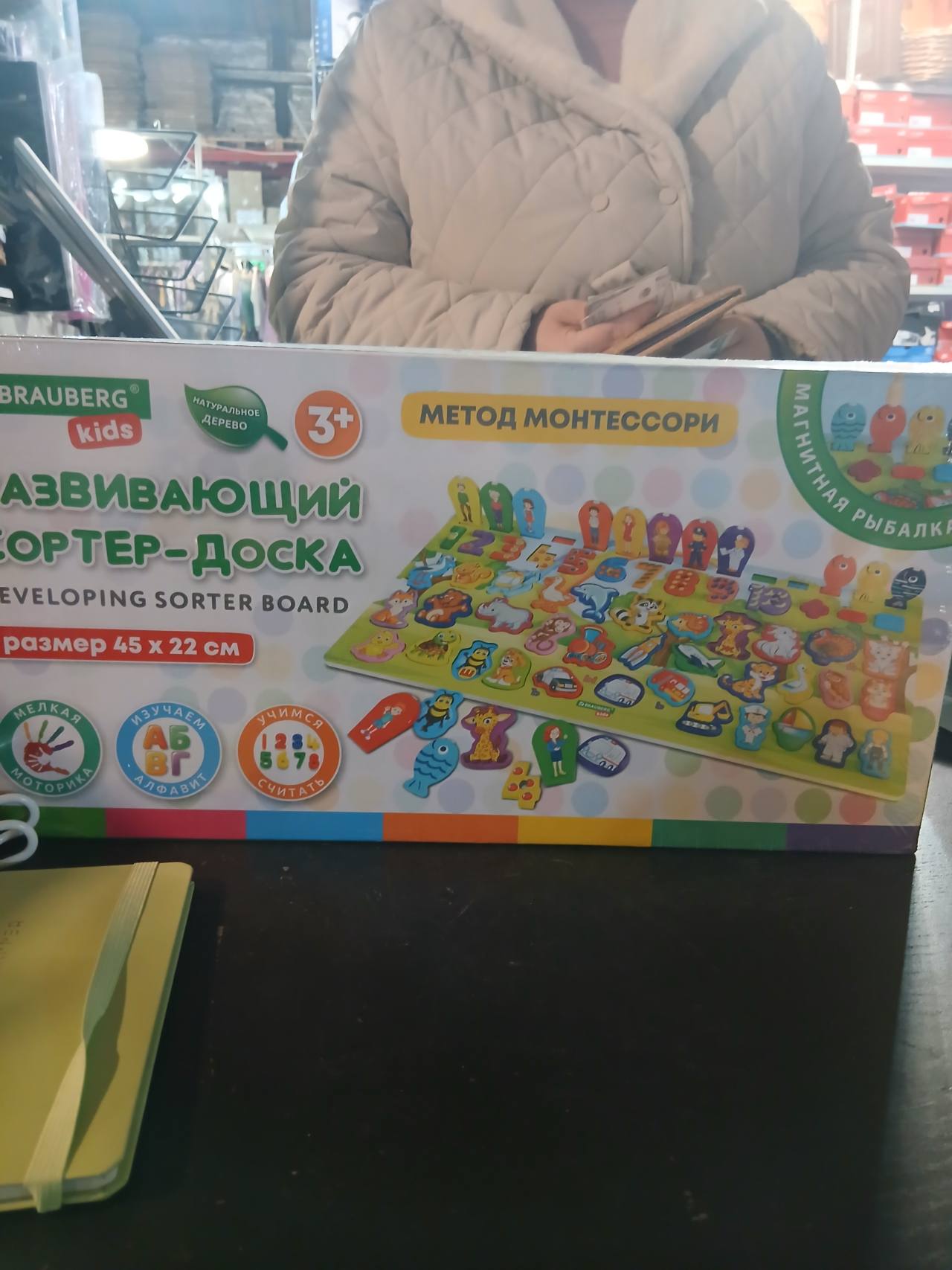 Развивающий сортер-доска «Метод Монтессори» BRAUBERG kids