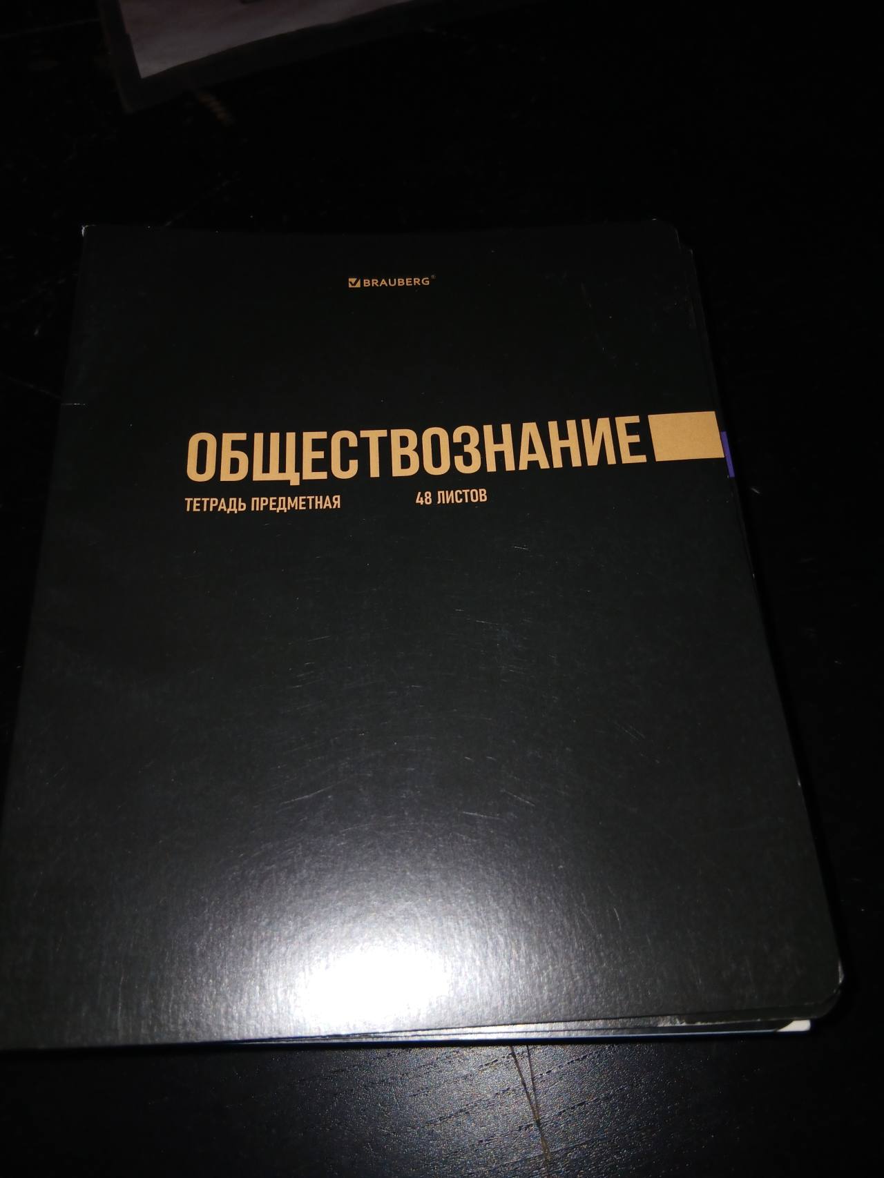 Тетрадь предметная ОБЩЕСТВОЗНАНИЕ 48 листов
