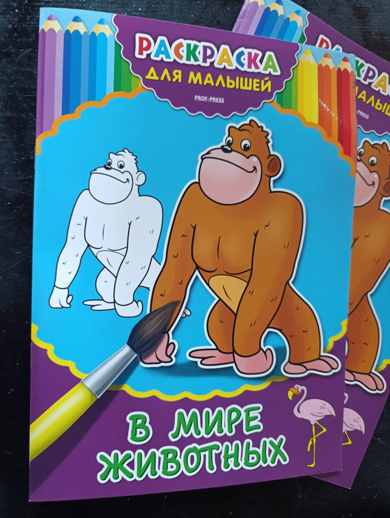 Раскраска для малышей В мире животных