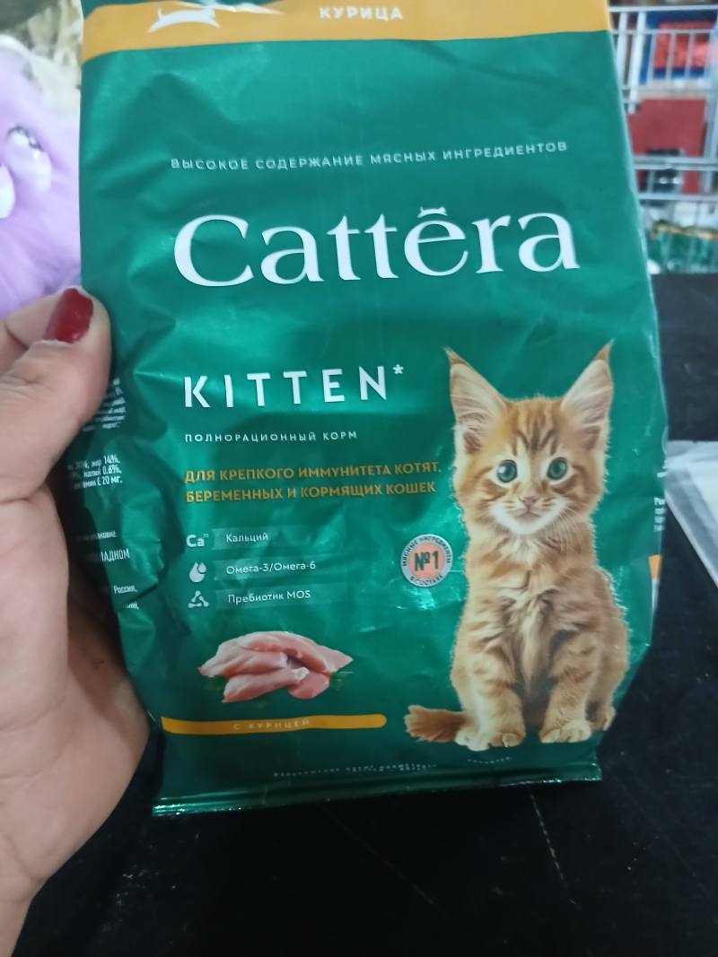 Cattēra Kitten Полнорационный корм для котят, беременных и кормящих кошек с курицей
